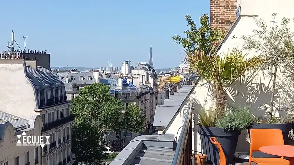 Vue du rooftop de l'ECUJE