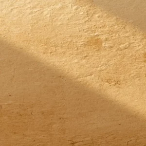 Bandeau le bouquiniste