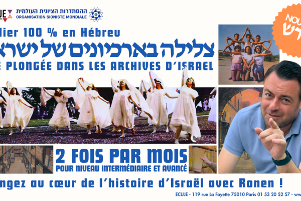 Plonger dans les archives