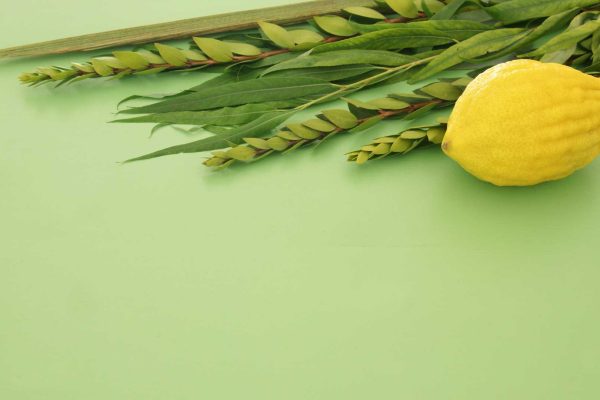 PLACEHOLDER (4)