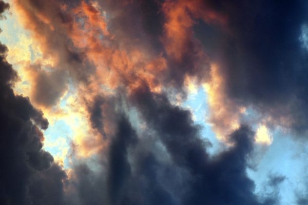 Website_headers (2)